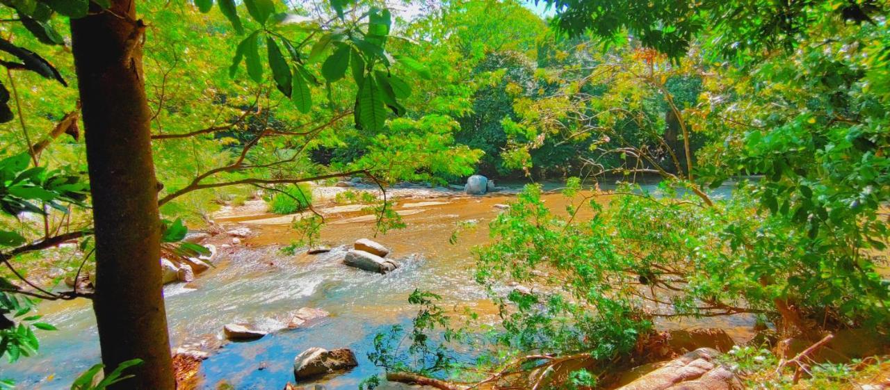 Casa Kumake Tayrona Villa El Zaino Buitenkant foto