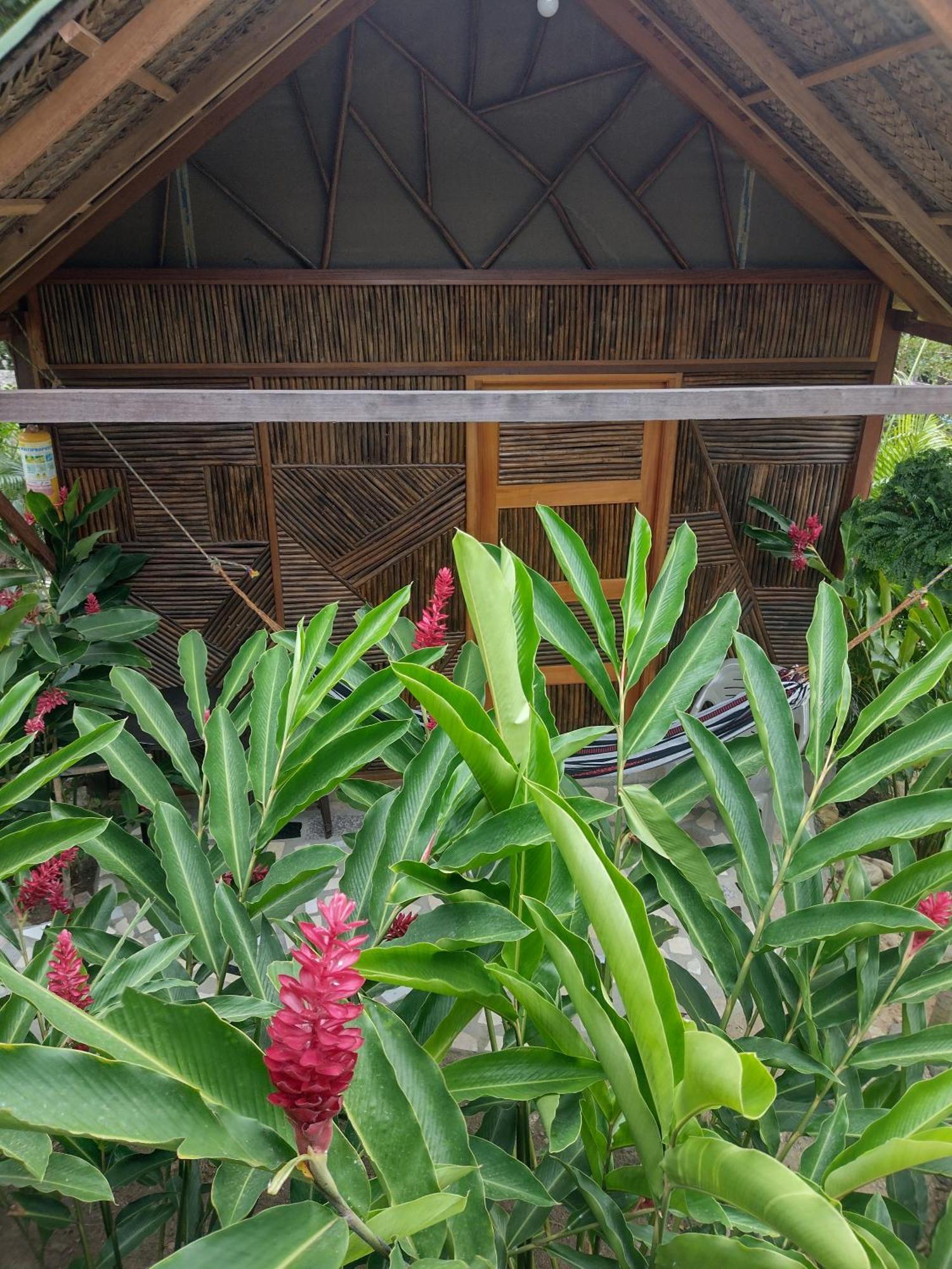 Casa Kumake Tayrona Villa El Zaino Buitenkant foto