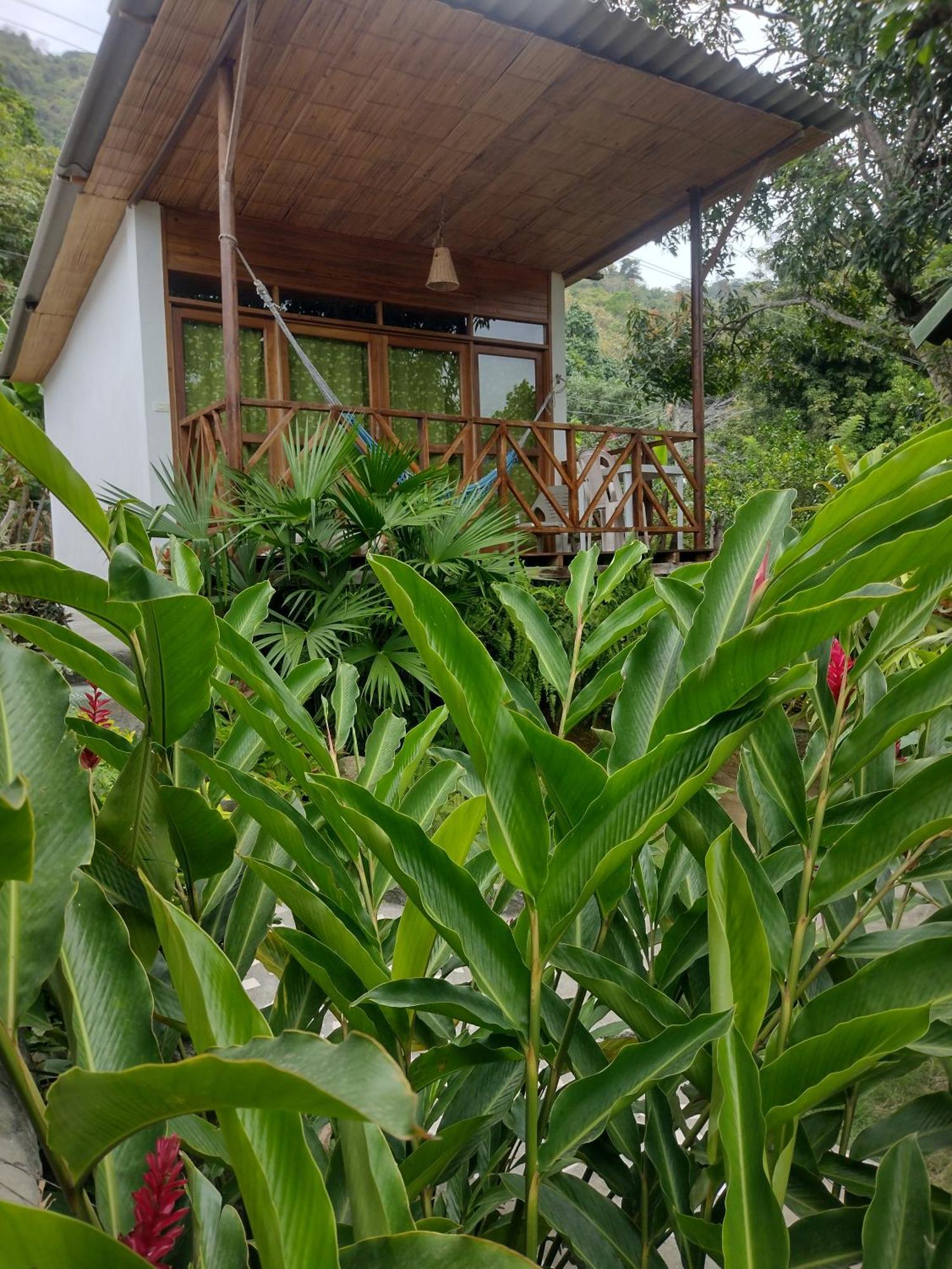 Casa Kumake Tayrona Villa El Zaino Buitenkant foto