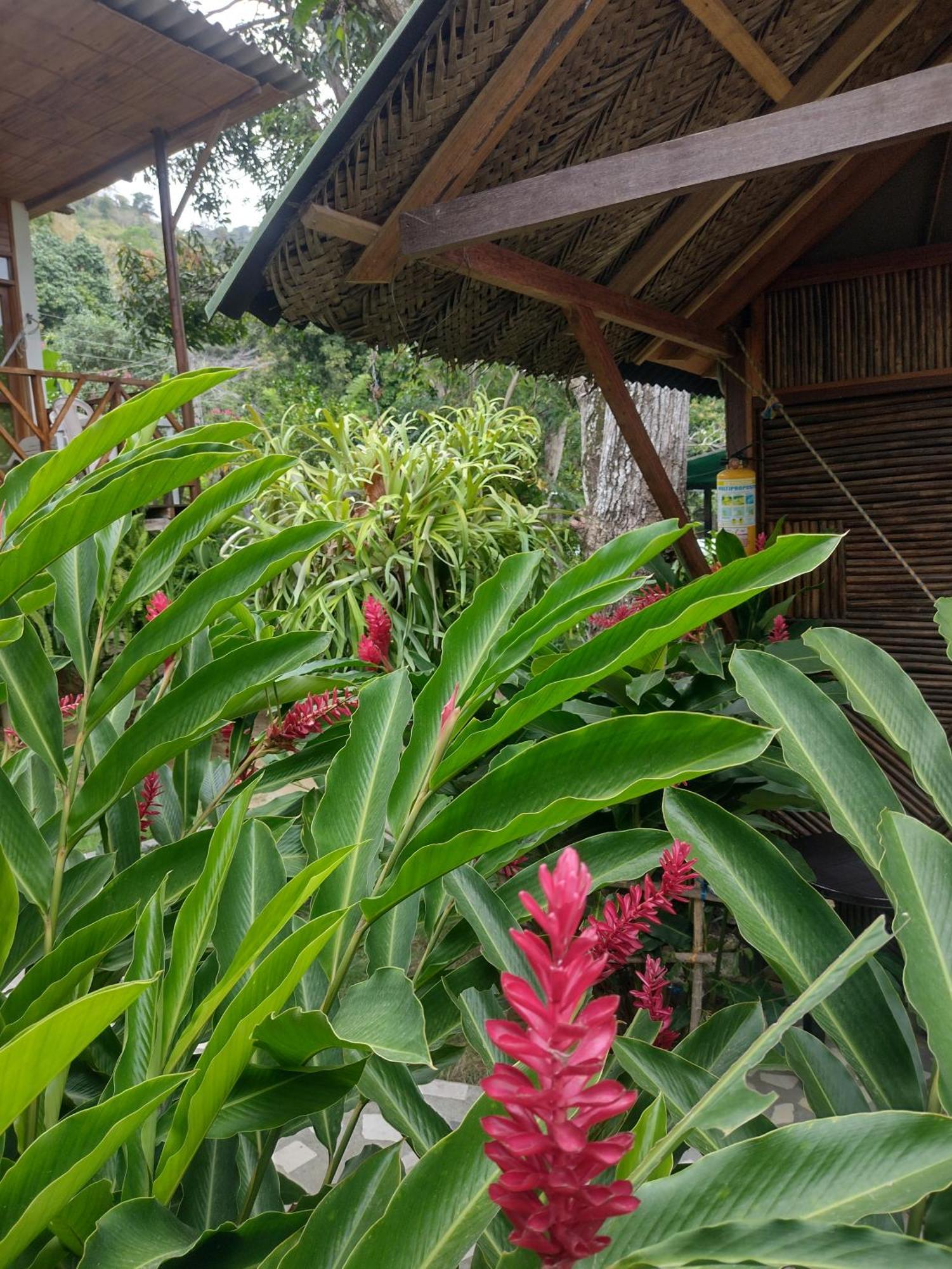 Casa Kumake Tayrona Villa El Zaino Buitenkant foto